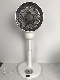  9 Inch Axial Flow Stand Fan with Remote Control