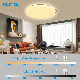 Surface Mounted 2.4G Wireless Control LED Ceiling Lamp Light