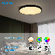 3000K 4000K 6500K Intelligent Digital LED Lamp Fittings Ceiling Light