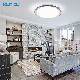  European White Diamond Bluetooth LED Ceiling Lights