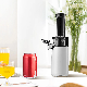 Household Low Speed Mini Machine High Juice 100W Slow Juicer