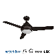 52 Inch Decorative DC Ceiling Fan with Remote Control ABS Ceiling Fan with Light 220V Ventilador De Techo