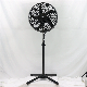 18 Inch Black Full Plastic Grill 5 Blade X Base Stand Fan (FS45-1805) Basic Customization Sample Customization Electric Fan DC Fan Ceiling Fan Electric Fan PED