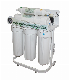 Hikins 600g RO Water Treatment Purification Equipment Water Purifier