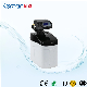 Ce Certified Mini Household Water Softener System Supply Soft Water