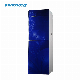 Best Selling New Floor Type Hot and Cold Water Cooler / Compressor Cooling Water Purifier / with Storage Cabinet