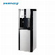 Hot and Cold Vertical Water Dispenser with Storage Cabinet/Water Cooler/Water Filter/Water Purifier