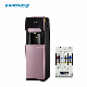  New Hot and Cold Compressor Vertical Water Purifier with CE