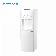 Floor Standing Hot and Cold Water Dispenser / Vertical Water Dispenser / Filter / Chiller / Water Filter / Water Purifier / Water Cooler