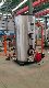  Vertical Biogas Hot Water Boiler in Biogas Plant