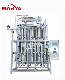  Marya New Type RO Reverse Osmosis EDI Electrodeionization Deionized Water Treatment System for Pharmaceutical