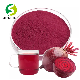  Hight Quality Organic Beetroot Powder Food Pigment Freeze Dried Extract Juice Beetroot