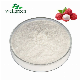  100% Natural Bulk Instant Solid Drinks Organic Fruit Extract Freeze Dry Juice Lychee Powder