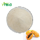  Ytbio Papaya Extract Powder/Papaya Juice Powder