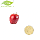 Comext USA Warehouse Factory Supply Best Price Bulk Pure Apple Fruit Extract Freeze Dried Apple Juice Powder