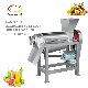 Commercial Vegetables Orange Onion Citrus Ginger Lemon Apple Juicer for Juice Extractor