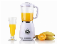  300W Power Commercial Blender with Stainless Blades ABS Material Juicer Blender Hand Vegetable Fruit Mixer Juicer Cup