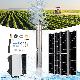 Solarthon 3 Inch Borehole DC Solar Power Submersible Pumps Helical Rotor Solar Water Pump for Farm Irrigation