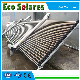 China Manufacturer Solar Water Heaters Hot Heaters