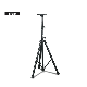 Adjustable Audio Tripod Microphone Stand Speaker Stand manufacturer