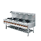  Kitchen Equipment Stainless Steel Gas Stove Chinese Cooking Range