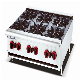 Hotel Restaurant Heavy Duty Hot Sale Gas Stove