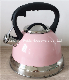 Home Appliance Kitchenware 3.0L Stainless Steel Whistling Tea Kettle in Power Coating with Colorful Dots