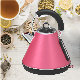 Thicken Milk Kettle 1.8L Stainless Steel Kettle Temperature Control Whistling Tea