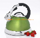 Green Painting Stainless Steel Whistling Coffee Tea Water Kettle with Heat Resistant Handle manufacturer