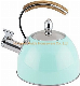 Heat Resistant Modern Painting Stainless Steel Whistling Kettle Tea Kettle manufacturer