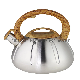 Stainless Steel Whistling Tea Kettle 2.8-Quart Stovetop Kettle Teapot