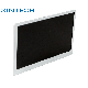 LCD Display Module 11.6 IPS 1920X1080 Color Screen