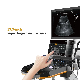  4D Color Doppler Ultrasound System Dawei Ultrasound Machine Good Resolution Dw-T6