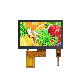  Hot Sale 4.3 Inch 480*272 RGB LCM TFT LCD Module Digital Touch Screen for Industrial Control