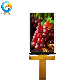  5 Inch LCD Touch Screen 480X854 Pixels LCD Module Screen for Car Monitor