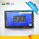  Car LCD Display 800X480 7 Inch TFT Touch Screen
