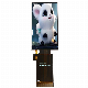1.9-Inch Color Tp TFT LCD Screen with 170X320 Resolution for Medical