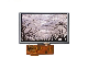  5 Inch TFT LCD Display 800X480 Resistive Touch Screen