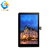  IPS All Viewing Angle Mipi Interface 4 Inch 480*800 Vertical Display LCD Screen