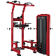 Top Quality Red Devil Ls-Rd15 Sports Fitness Equipment for Assist DIP Chin