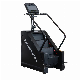  2023 Latest Commercial Stair Climber with LED Light