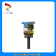 16.7m (RGB X 8bits) 2.95 Inch Color Am OLED Module with 1080*1200p and Mipi Interface