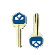 Free Sample Low Price Nickel Plated Kw1 Key Blank Brass Silver Color House Blank Key with Rubber Plastic Head Multi Color for Door Lock