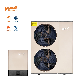 Evi Split DC Inverter Heat Pump Solar Water Heaters Smart Major Appliances with WiFi Control