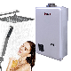 Tankless High Efficiency Hot Boiler Shower Whole House Instant on Demand Water Heater