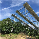 Customized Galvanized Steel PV Mounting Farm Racking Solar Panel Structure Aluminum Material Mount Structure Agricultural Solar Mounting Bracket Kit