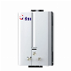  China OEM Wholesale Manufactory Flue Type Gas Water Heater