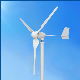 Solar Hybrid 1kw Wind Generator with Controller and Inverter Wholesale