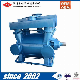 2bea-202 Vacuum Air Suction Pump for Big-Sale-Price to Worldwide