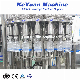 Fully Automatic Small and Medium-Sized Mineral Water Production Line Equipment